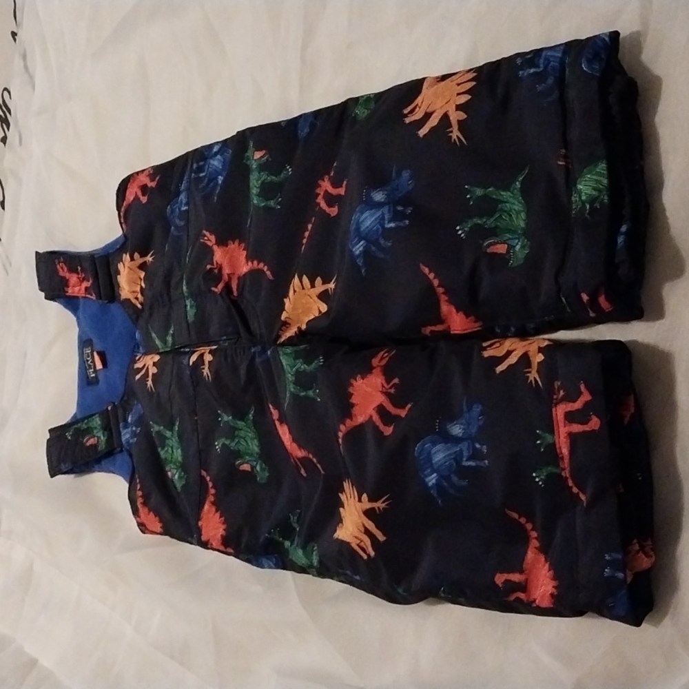 Boy toddler 12-18mth Pre-owned floral snow pants with Dinosaur print